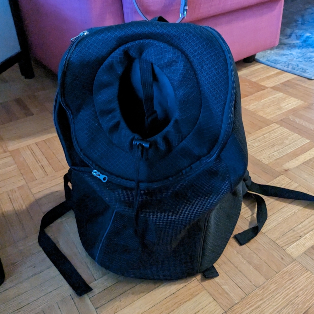 Dog carrying backpack